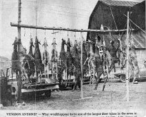 Venison Anyone Venison Anyone? Probably in the 1950s/60s, Shields Farm near Alma Photo submitted by Becky Stephens Langfeld